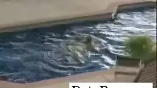 هذه العاهرات ذوات المؤخرات المشدودة تتوسل لجنس خشن وتحشى بقضبان ضخمة