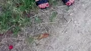 نيك قدام اخوها