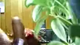 تناك متطرف مع عاهرات عربيات مقنعات