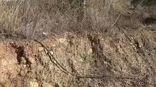 إباحية خارجية قاسية: زوجة تركية تُقَبَّل فرجها المشعر من قبل ربيب