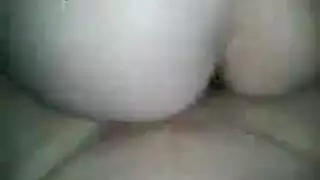 حصان ينيك بنت بزيه